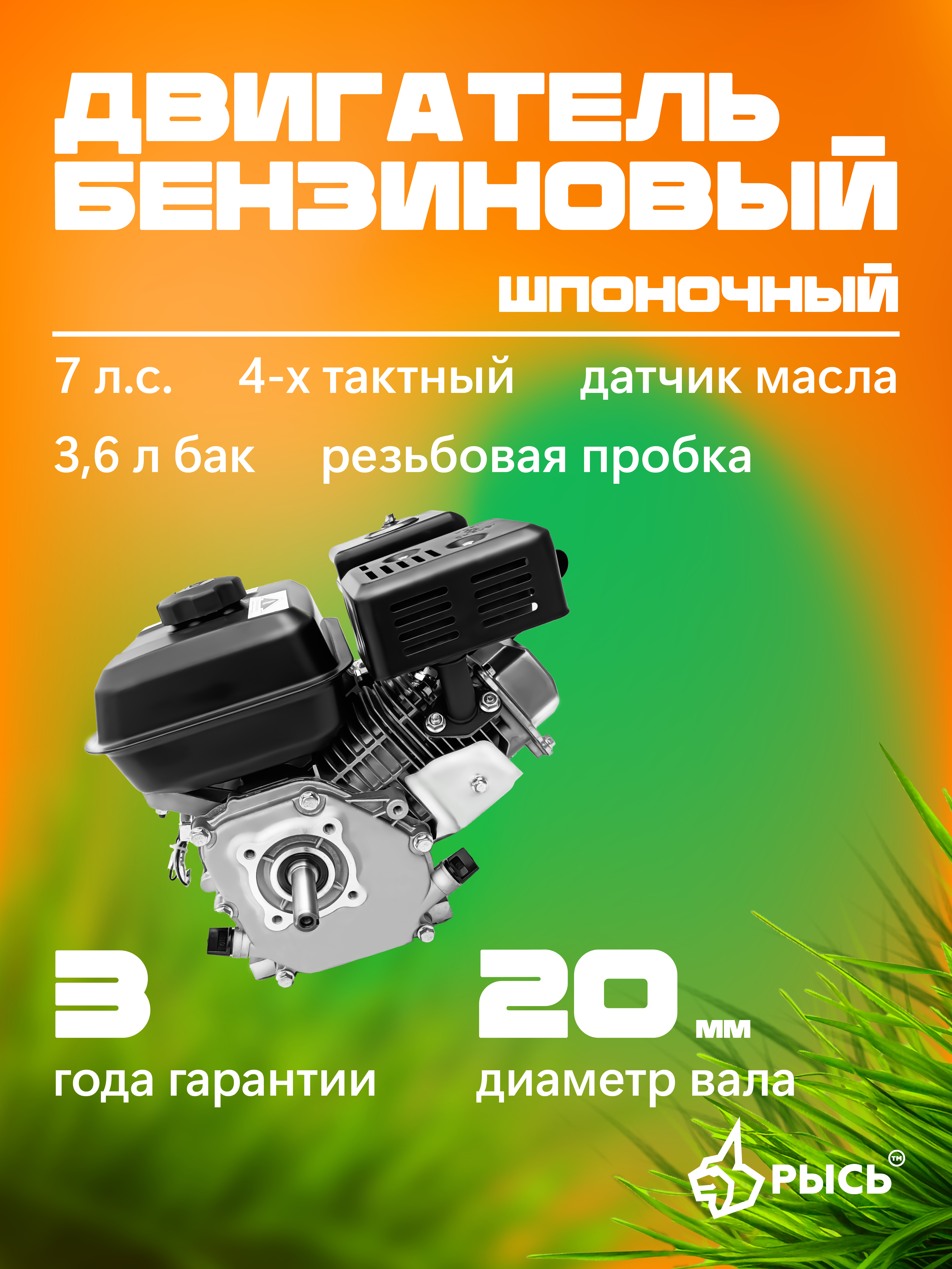 РЫСЬ (LYNX) 20мм Двигатели шпоночные 20 мм шпоночный РЫСЬ (LYNX) 20мм Двигатели шпоночные 20 мм шпоночный
